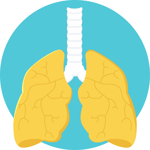 Icon of kidneys