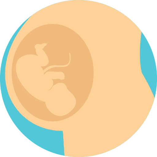 Icon of a baby inside a womb